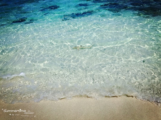 神仙珊瑚岛Island Hideaway